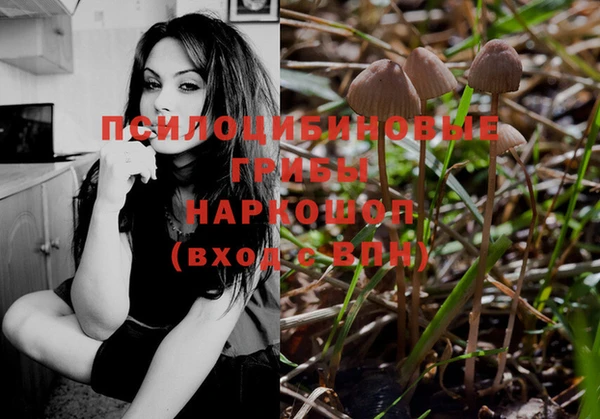 ECSTASY Кукмор