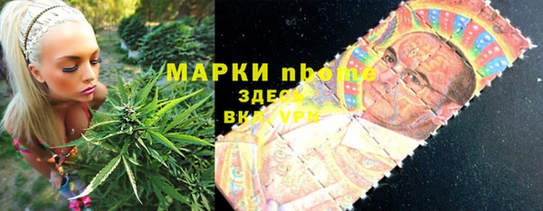 ECSTASY Кукмор