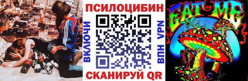 купить  сайты  Мамадыш  Псилоцибиновые грибы прущие грибы 